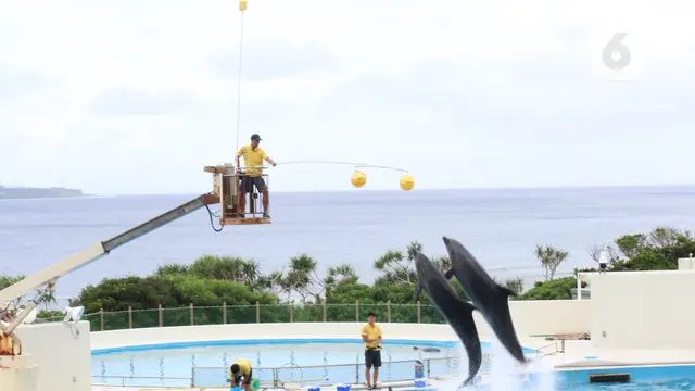 Okinawa Churaumi Aquarium