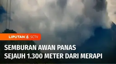 Guguran awan panas terus disemburkan Gunung Merapi. Rabu siang, jarak luncur wedus gembel sejauh 1.300 meter dari puncak gunung. Sementara, warga terdampak erupsi Gunung Merapi di Magelang, Jawa Tengah, berebut bantuan pakan buat ternak.