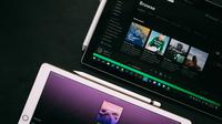 Spotify Platform (Photo by Heidi Fin on Unsplash)