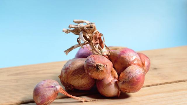 Ilustrasi bawang merah