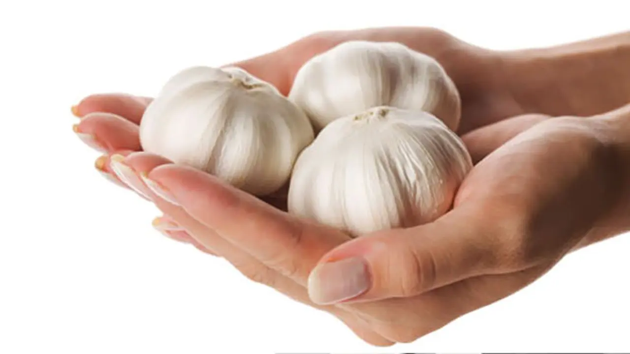 bawang-merah-kuku-130919b.jpg