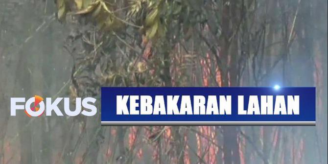 Kebakaran Lahan di Palangkaraya Meluas, Penghuni Panti Asuhan Diungsikan