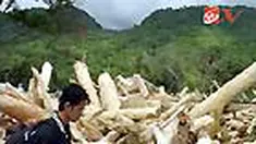 liputan6