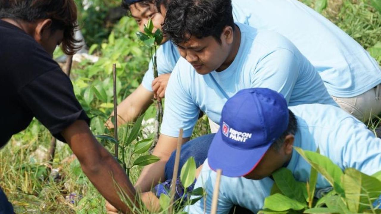 Trivia Lingkungan: Tahukah Anda Mangrove Serap Karbon Lebih Banyak? Pelindo Komitmen Pulihkan 100 Hektare Ekosistem Pelindo Mangrove