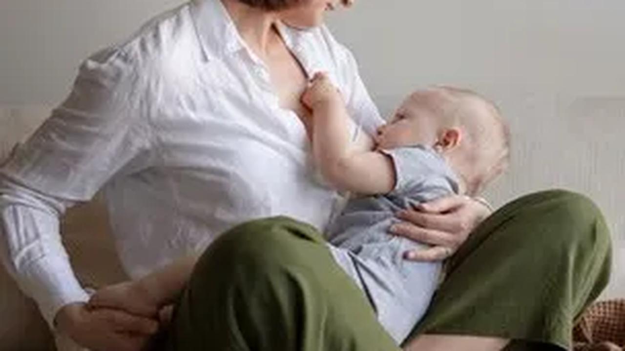 Apa Itu Breast Pad?