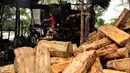 Gambar pada 9 Februari 2020 menunjukkan pekerja menggiling batang pohon sagu menjadi tepung di sebuah desa di Meulaboh, provinsi Aceh. Tepung sagu adalah jenis tepung yang berasal dari pohon rumbia atau pohon aren, dan pohon jenis ini banyak ditemukan bagian timur.  (CHAIDEER MAHYUDDIN/AFP)