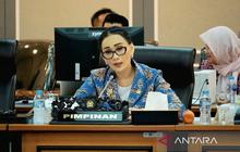 DPR Desak Pemerintah Jamin Pemulihan Korban Rudapaksa Sampang secara Komprehensif