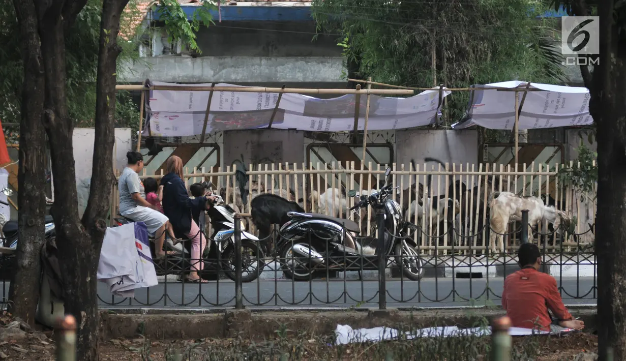 Warga melihat hewan kurban di salah satu lapak yang berada di trotoar, Jakarta, Senin (5/8/2019). Meski Pemprov DKI Jakarta telah melarang, sejumlah pedagang nekat berjualan hewan kurban di trotoar dengan alasan tidak memiliki lahan. (merdeka.com/Iqbal S. Nugroho)