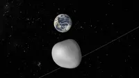 Asteroid Florence (NASA)