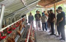 BKK Blora Salurkan CSR Rp50 Juta, Dorong Kemandirian Peternak Milenial
