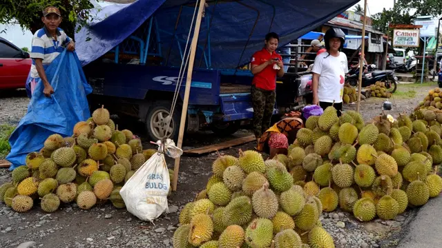 Sriwijaya Air Batal Terbangkan 2 Ton Durian Bengkulu