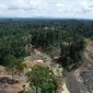 Tambang batu bara ilegal di Kawasan Hutan Dengan Tujuan Khusus (KHDTK) Labanan, Kabupaten Berau, Kalimantan Timur kini semakin dekat dengan sekolah hutan untuk orang utan. Upaya rehabilitasi hewan endemik Kalimantan ini pun terancam.