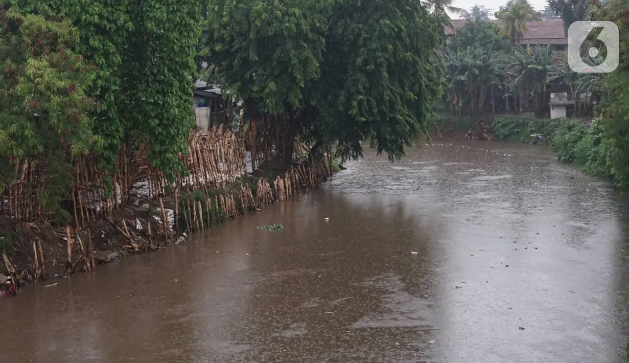 Suasana aliran Sungai Ciliwung di kawasan Rawajati, Jakarta, Selasa (17/12/2019). Hujan deras yang mengguyur Jakarta sejak siang menyebabkan debit air Sungai Ciliwung mulai mengalami kenaikan, namun masih terpantau normal. (Liputan6.com/Immanuel Antonius)