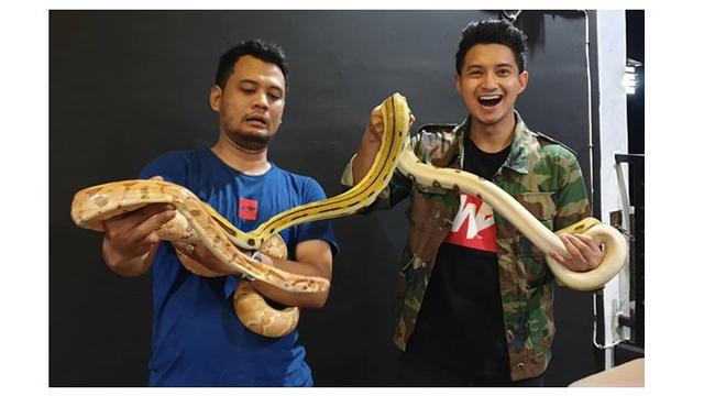Panji juga berkolaborasi dengan artis pecinta hewan.