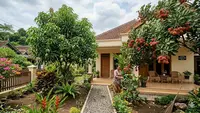 8 Pohon Buah yang Subur dengan Mulsa Organik, Cara Alami Meningkatkan Panen