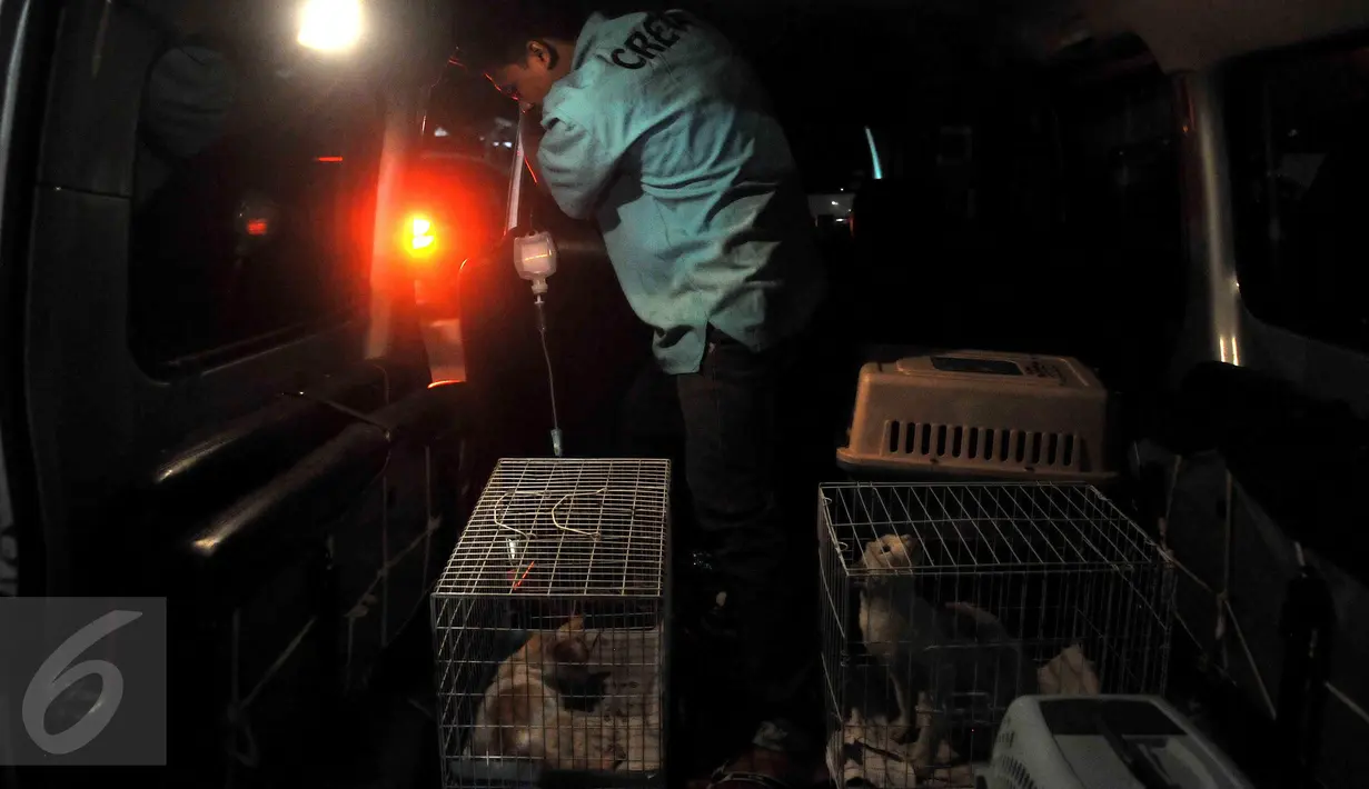 Sumber dana utama perawatan hewan-hewan ini berasal dari dana pribadi Doni dan relawan Animal defender. Animal defender juga membuka usaha penitipan hewan dan layanan Pet Taxi untuk mengantar hewan-hewan ke klinik atau dokter. (Liputan6.com/Johan Tallo)