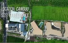 WNA Australia Ngaku Punya Tanah 1,1 Hektare di Bali, Kini Dicekal Masuk Indonesia
