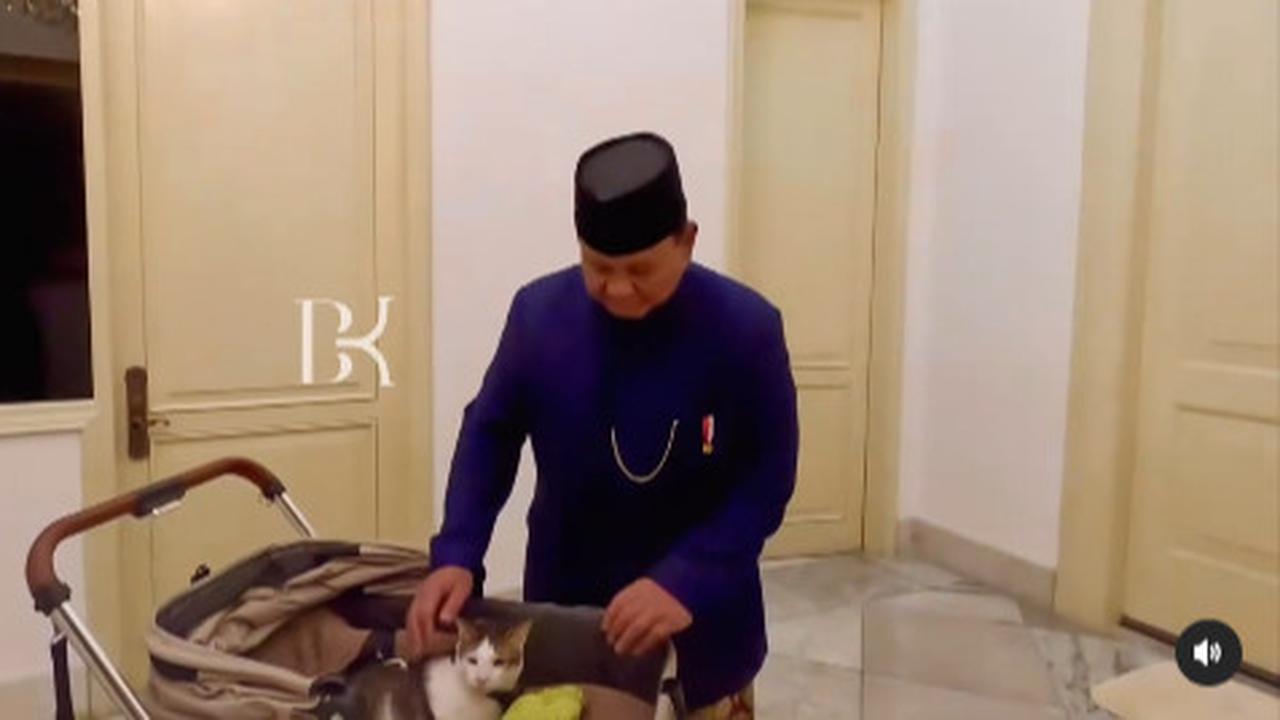 Selain Prabowo, Empat Pemimpin Dunia Ini juga Punya Kucing Kesayangan Seperti Bobby Kertanegara