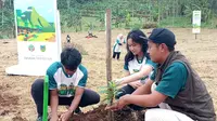 Ribuan Bibit Pohon Ditanam untuk Hijaukan Lereng Pegunungan Muria Kudus