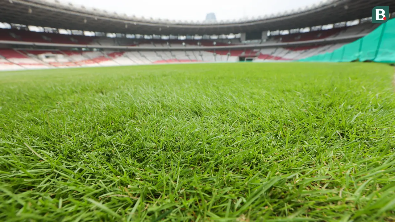 Foto: Mengintip Kondisi Rumput SUGBK Jelang Hadapi Jepang di Kualifikasi Piala Dunia