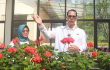 Optimalisasi KPS PVT Manoko: Kementan Targetkan 70 Varietas Unggul Baru pada 2025 untuk Pertanian RI