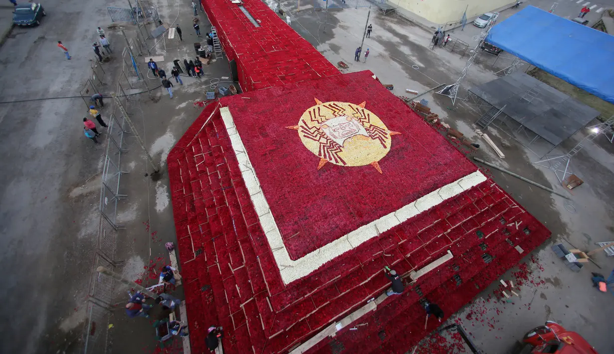 Penduduk setempat menyelesaikan pembuatan piramida Cochasqui dari bunga mawar dalam upaya pemecahan Guinness World Records di Tabacundo, Ekuador, 20 Juli 2018. Piramida dibangun di lahan seluas 1.100 meter tanpa henti oleh para relawan (AP/Dolores Ochoa)