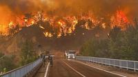 Potret kebakaran hutan dekat Desa Cavuslar, Distrik Karabuk, Turki, Rabu (23/7/2025). (Dok. Ridvan Bostanci/IHA via AP)
&nbsp;