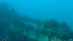 Sebuah gambar yang ditangkap dari rekaman video dari kapal penelitian Martin Bergmann menunjukkan kondisi puing HMS Terror di perairan Teluk Teror, sekitar pantai Pulau King William, Kanada (3/9). (Courtesy Arctic Research Foundation/Handout via REUTERS)