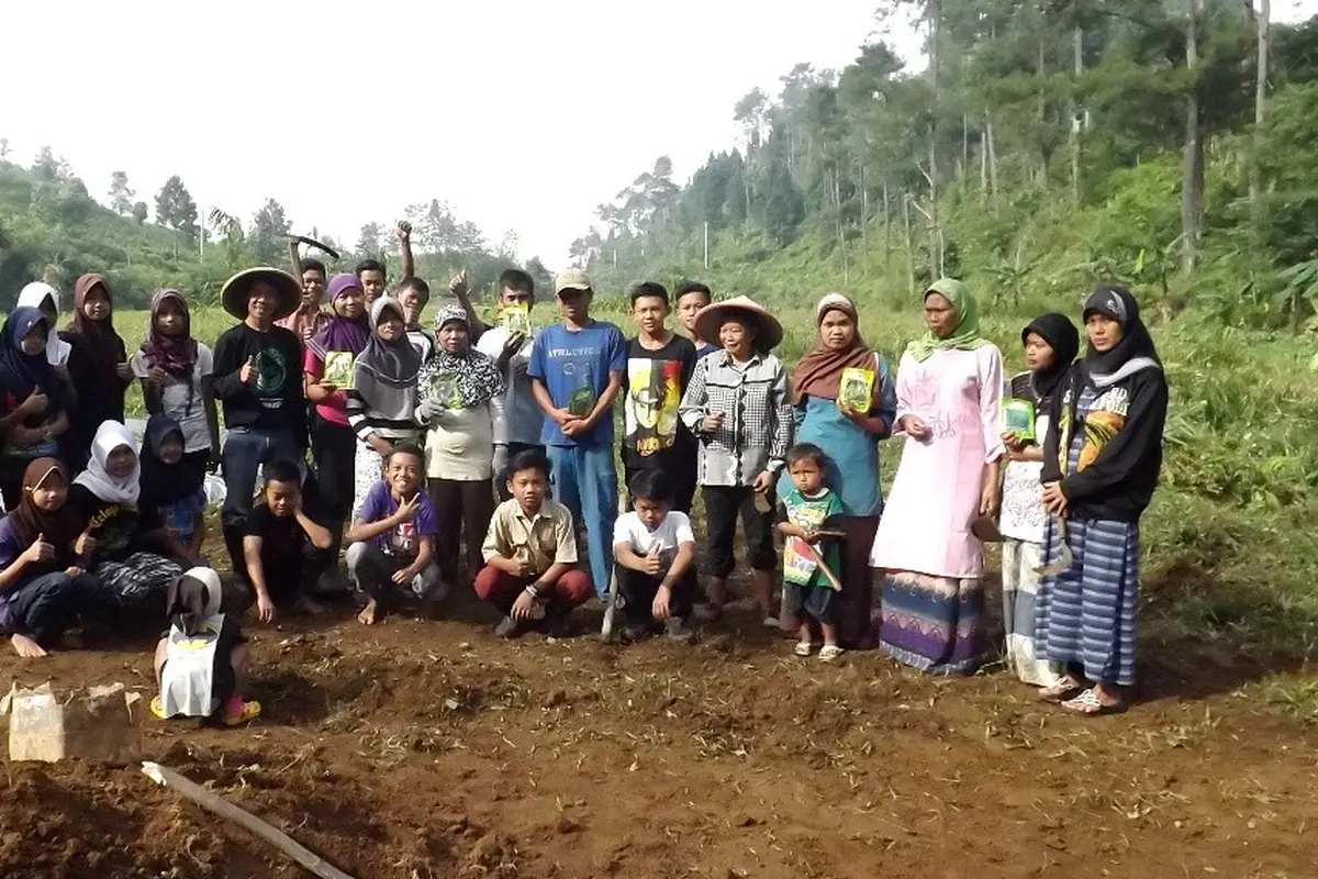 Petani Vs Babi Hutan Tak Mempan Diracun Bertarung di Ladang