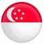 Tim Nasional Sepak Bola Singapura adalah salah satu tim yang disegani di kawasan Asia Tenggara