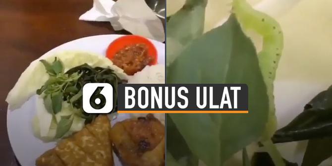 VIDEO: Duh, Pria Ini Temukan Ulat Besar di Lalapan Saat Makan