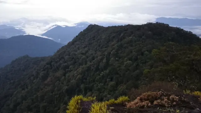 Gunung Mantapok di Sabah Malaysia. (Dok: Gunung Bagging https://www.gunungbagging.com/mantapok/)