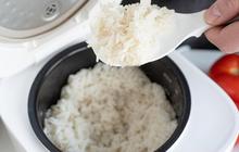 Tips Simpel Menyimpan Nasi Tanpa Risiko Berkerak di Rice Cooker