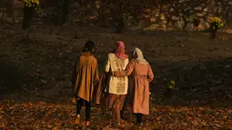 Para wanita berjalan melewati pepohonan yang merontokkan daun musim gugur mereka di taman Nishat Bagh di Srinagar (16/11/2020). (AFP/Tauseef Mustafa)