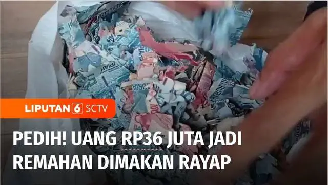 Uang tunai senilai Rp 36 juta milik seorang warga Madiun, Jawa Timur, hancur akibat dimakan rayap. Uang tersebut disimpan dalam kardus, lalu diletakkannya di dalam lemari.