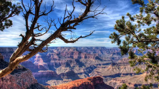 5 Turis Grand Canyon Terjebak di Lift Bawah Tanah Selama 26 Jam
