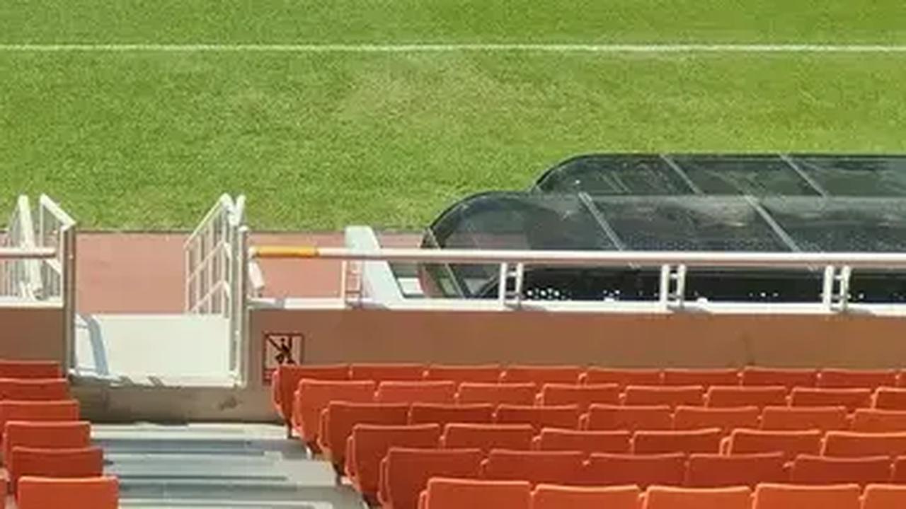 Tempat pembibitan rumput itu direncanakan tidak hanya di satu tempat.