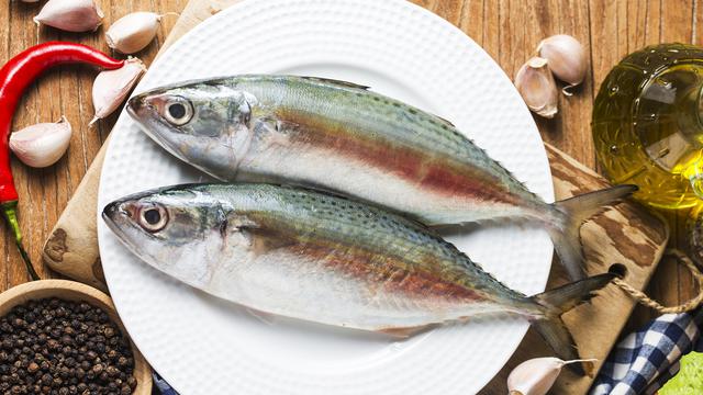 Ilustrasi ikan segar