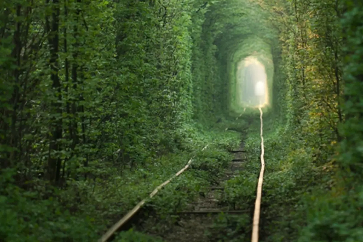 Foto: Copyright ThinkStockPhotos.com