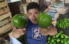 4 Jus Buah untuk Mengatasi Masalah Hipertensi dan Menormalkan Tekanan Darah
