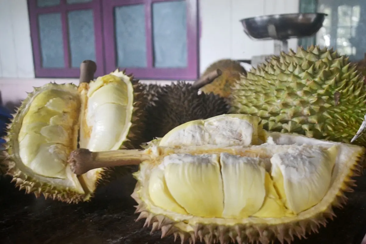 Pakar Luruskan Tudingan Soal Durian yang Dianggap Picu Kolesterol