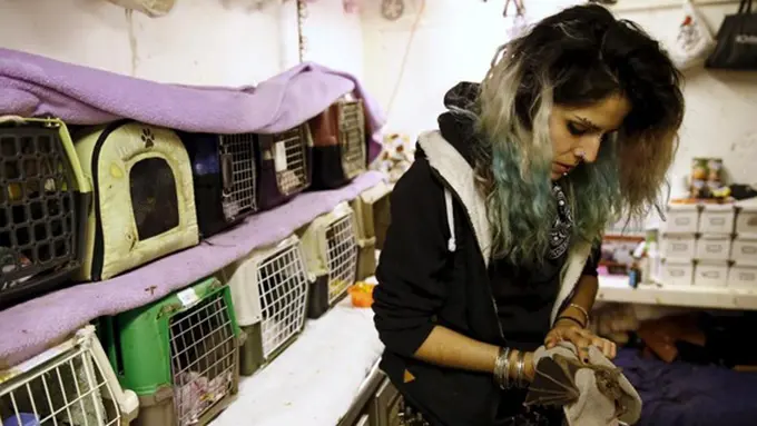 Photo: Copyright reuters.com