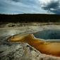 Taman Nasional Yellowstone (AFP Photo)