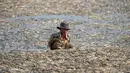 Air waduk seluas 300 hectare tersebut hampir tidak terlihat, tertutup ikan-ikan yang mati. (STR / AFP)