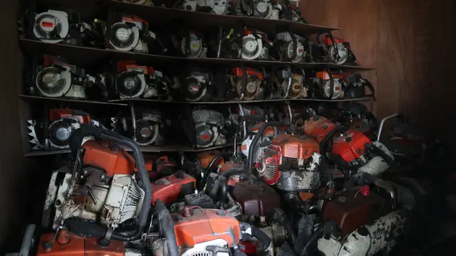 Chinsaw yang sudah dibeli Yayasan ASRI dari para penebang liar di kawasan Taman Nasional Gunung Palung. (Liputan6.com/ Novia Harlina)