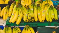 3 Cara Memilih Pisang yang Pas untuk Goreng, Rebus, atau Dimakan Langsung