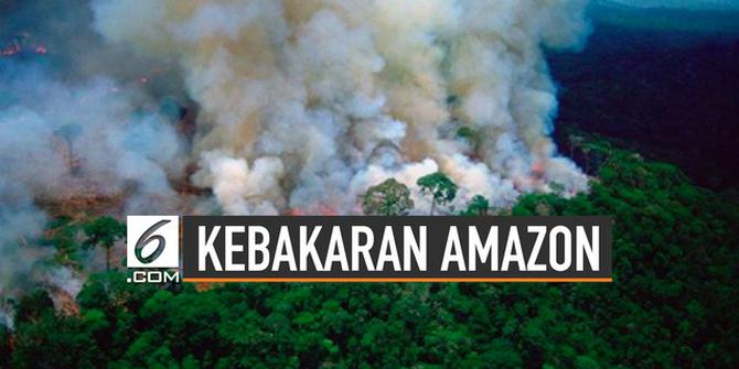 VIDEO: Dampak Global Akibat Kebakaran Amazon