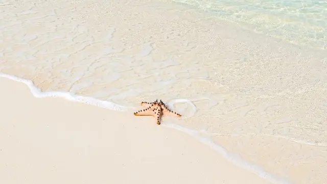 Tanjung Kelayang Reserve, Destinasi Wisata yang Membiarkan Alam Tetap Bernapas