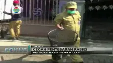 Pihak Sudin KPKP juga menghimbau kepada warga yang memiliki hewan peliharaan untuk dipelihara di lingkungan rumah.