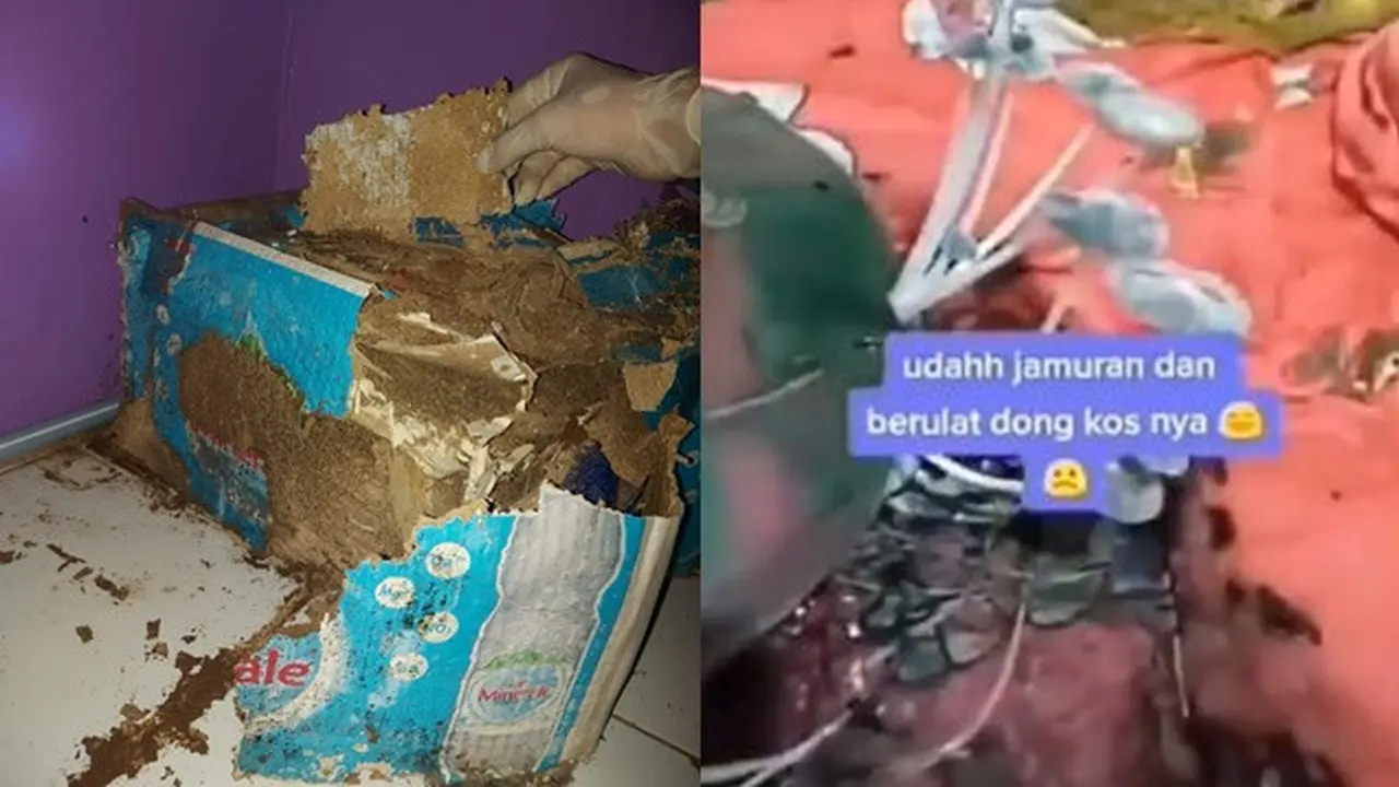 6 Potret Kamar Kos Berjamur karena Ditinggal Mudik Ini Bikin Miris